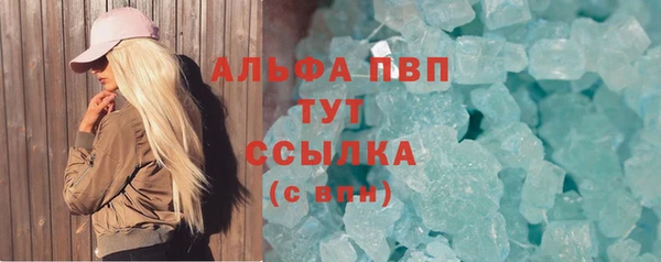 индика Михайлов