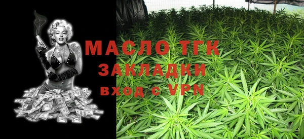 индика Михайлов