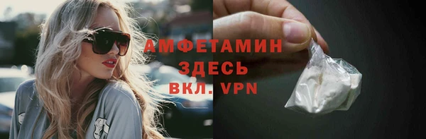индика Михайлов