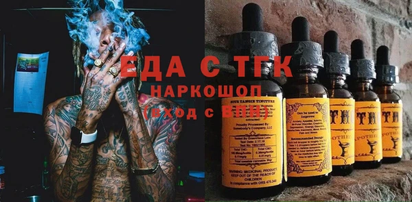 индика Михайлов