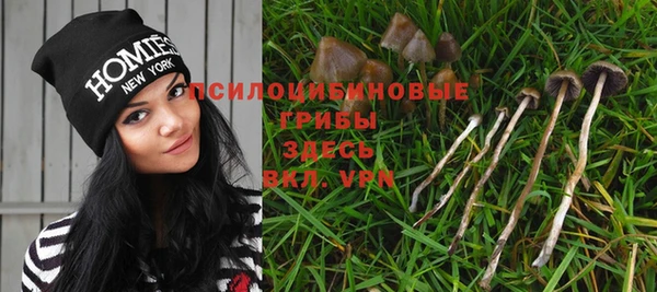 марки nbome Медвежьегорск