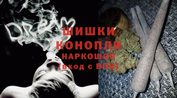 индика Михайлов