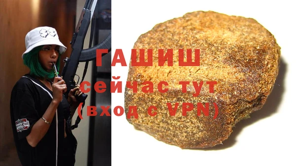 индика Михайлов