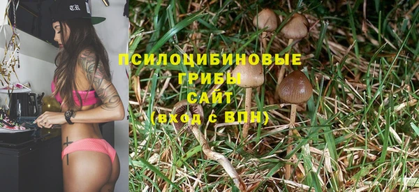 синтетический гашиш Михайловка