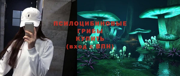 индика Михайлов
