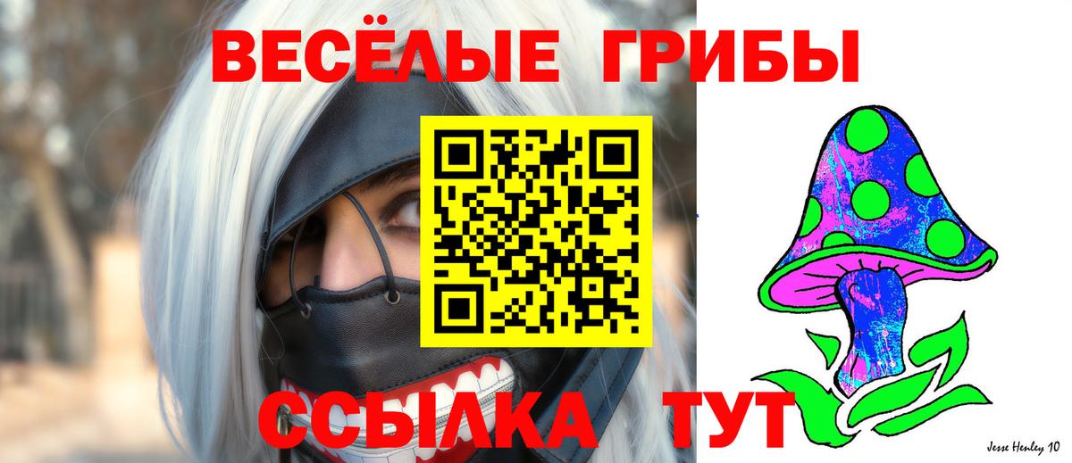 Псилоцибиновые грибы MAGIC MUSHROOMS  Вход с VPN  Нововоронеж 