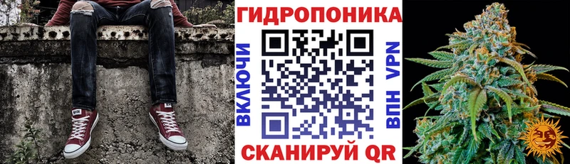 Бошки марихуана ГИДРОПОН  Нововоронеж 
