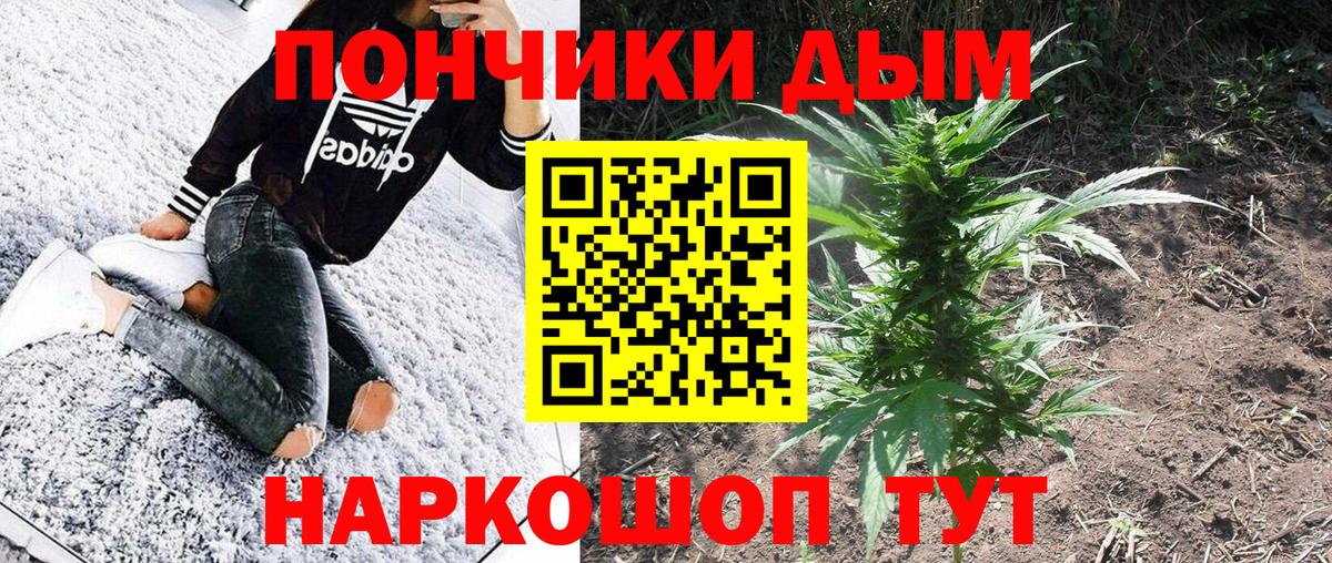 Нововоронеж  Бошки Шишки конопля  Вход с VPN  Шишки марихуана THC 21%  МАРИХУАНА марихуана 